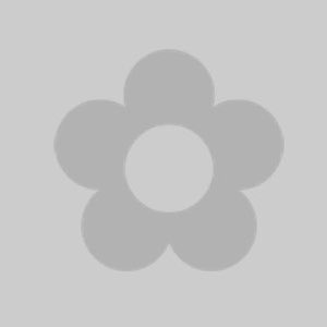 An item image placeholder